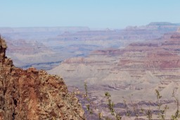 IMG_8378.jpg
