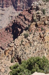 IMG_8379.jpg
