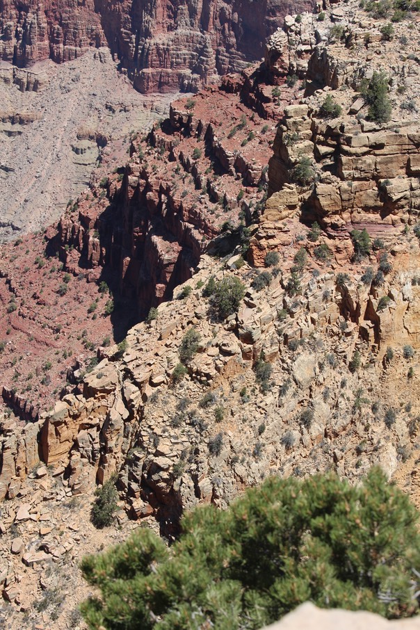 IMG_8379.jpg