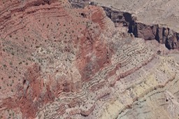 IMG_8380.jpg