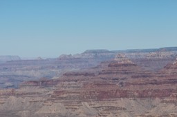 IMG_8382.jpg