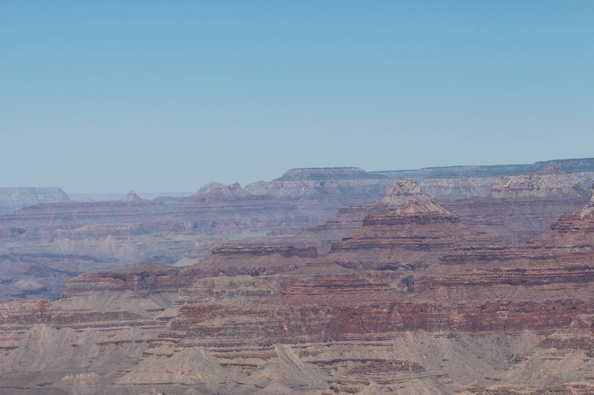 IMG_8382.jpg