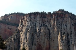 IMG_8436.jpg