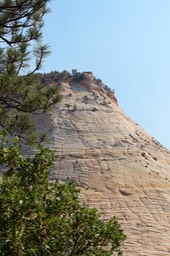 IMG_8437.jpg