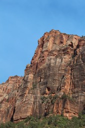 IMG_8445.jpg