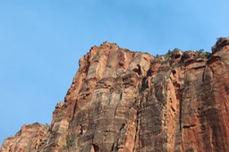 IMG_8446.jpg
