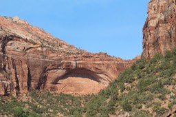 IMG_8447.jpg