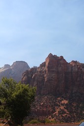 IMG_8449.jpg