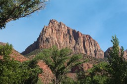 IMG_8456.jpg