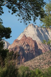 IMG_8460.jpg