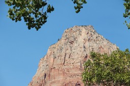 IMG_8461.jpg