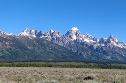 IMG_8468.jpg