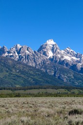 IMG_8472.jpg