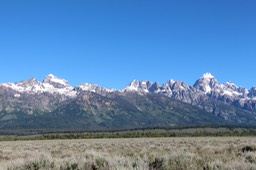 IMG_8473.jpg