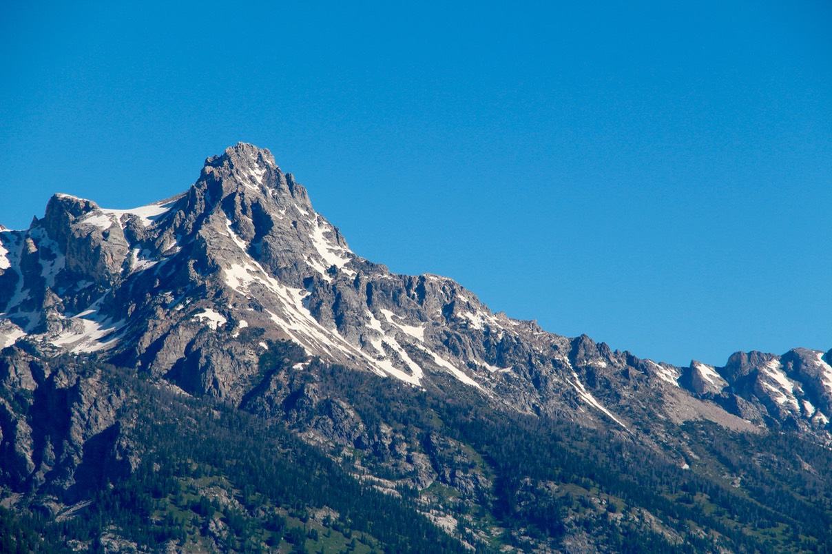 IMG_8481.jpg