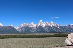 IMG_8493.jpg