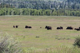 IMG_8518.jpg