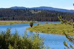 IMG_8544.jpg