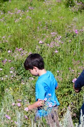 IMG_8546.jpg