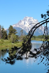 IMG_8561.jpg