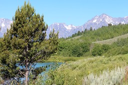 IMG_8568.jpg