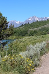 IMG_8569.jpg