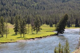 IMG_8580.jpg
