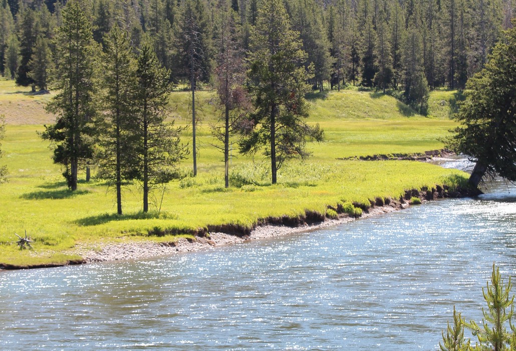 IMG_8581.jpg