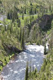 IMG_8585.jpg