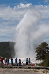 IMG_8593.jpg