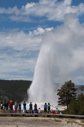 IMG_8594.jpg