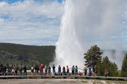 IMG_8597.jpg