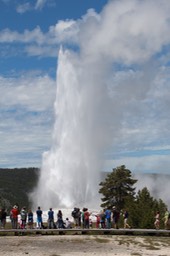 IMG_8598.jpg