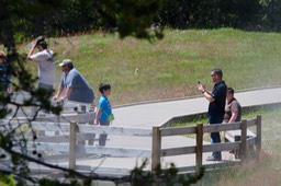 IMG_8625.jpg