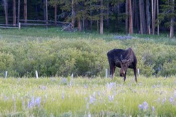 IMG_8636.jpg