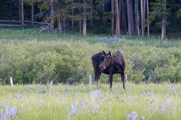 IMG_8638.jpg