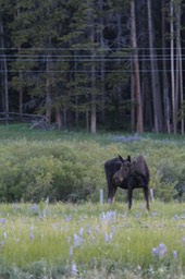 IMG_8639.jpg