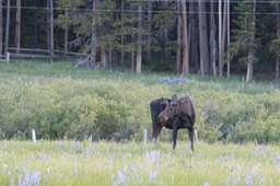 IMG_8641.jpg