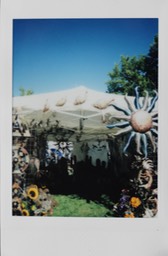 IMG_8784.jpg