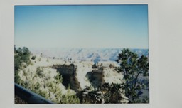 IMG_8790.jpg