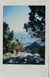 IMG_8795.jpg