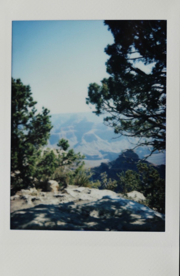 IMG_8795.jpg