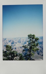 IMG_8796.jpg