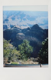 IMG_8797.jpg