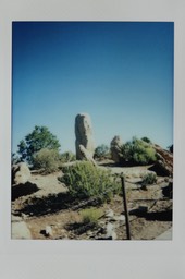 IMG_8801.jpg
