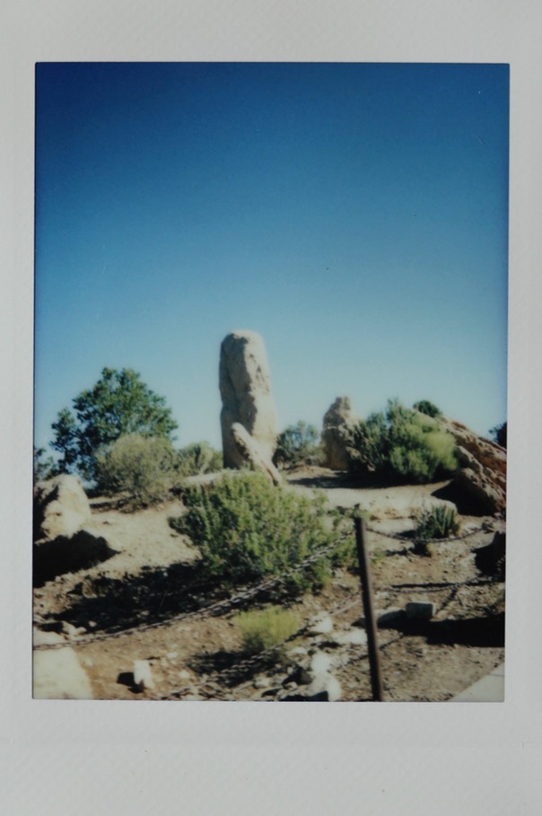 IMG_8801.jpg