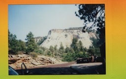 IMG_8803.jpg