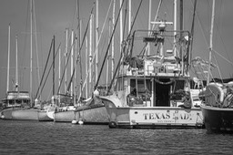 boats
