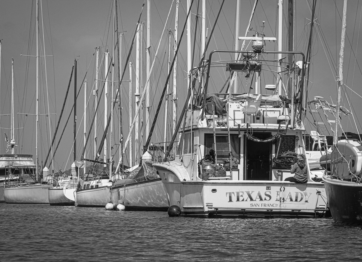 boats