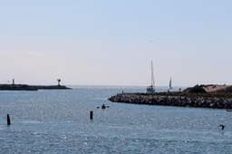 harbor